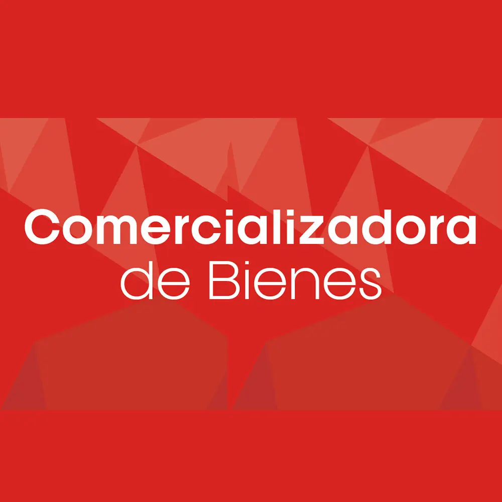 Comercializadora de Bienes